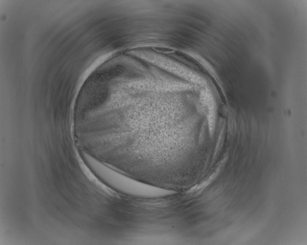 X0000074210957200609081528