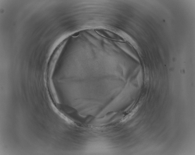 X0000074210958200609081528