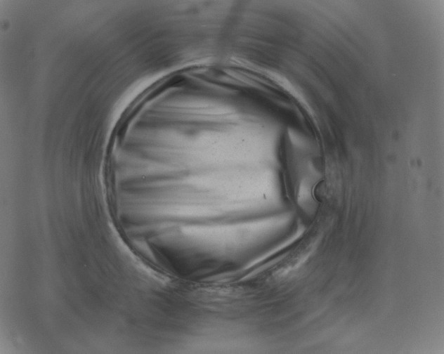 X0000074210959200609081528