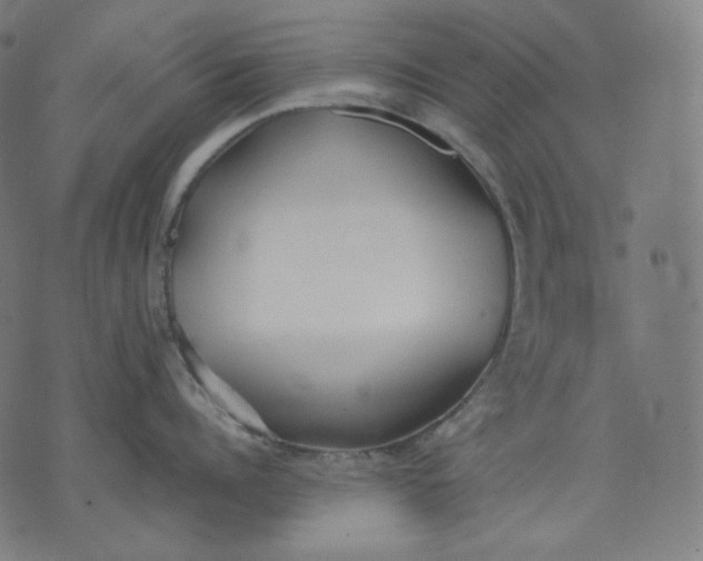 X0000074210960200609081528