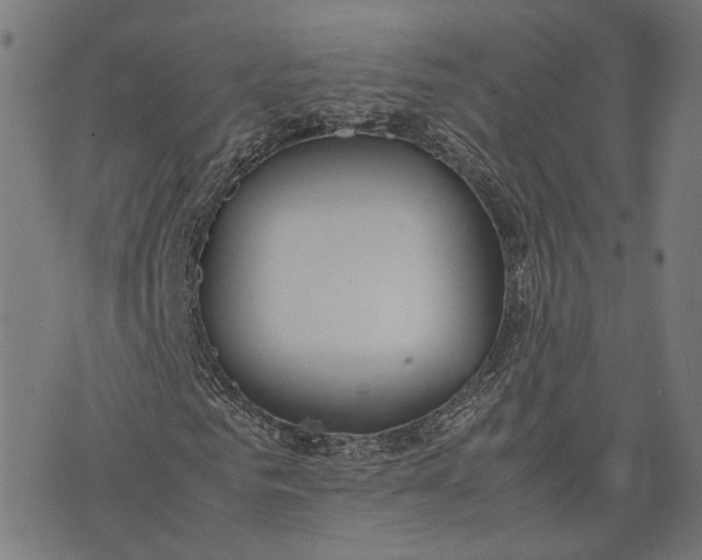 X0000074210961200609081527