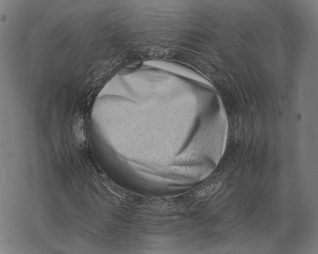 X0000074210962200609081527