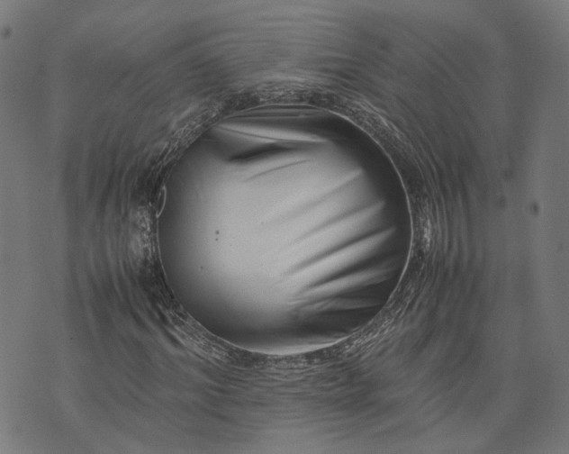 X0000074210964200609081527