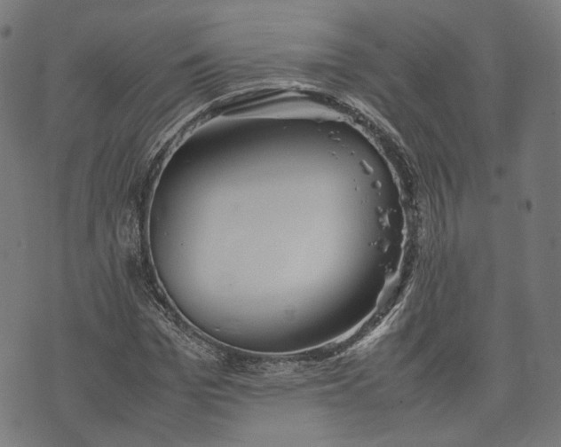 X0000074210969200609081527