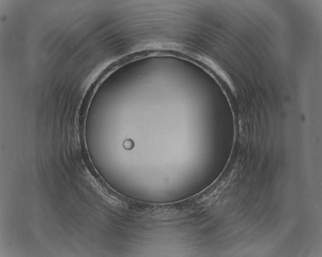 X0000074210972200609081527