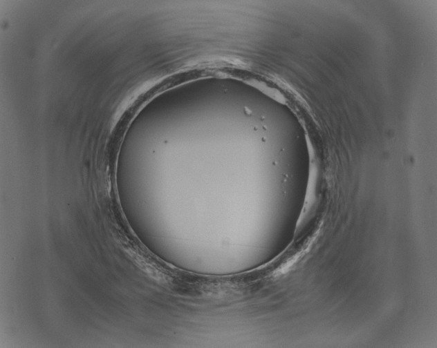 X0000074210973200609081527