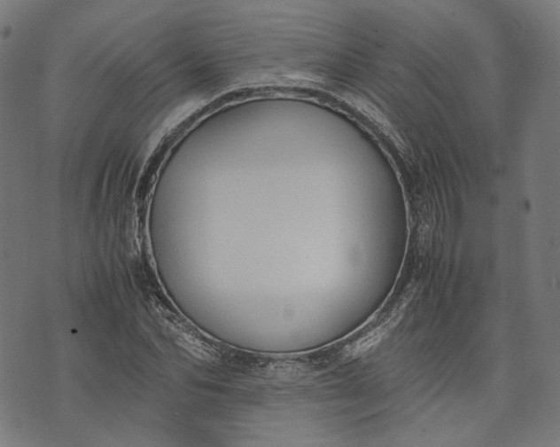 X0000074210974200609081527