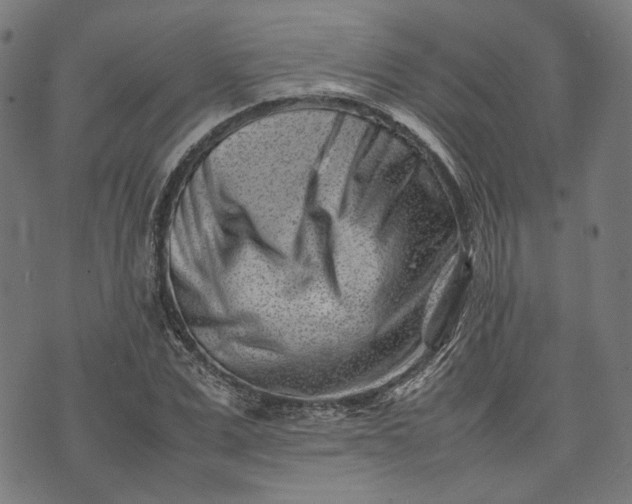 X0000074210975200609081527