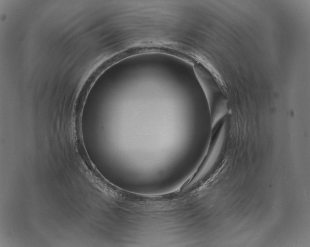 X0000074210976200609081527