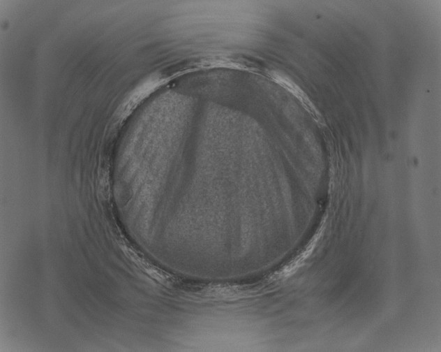 X0000074210977200609081527