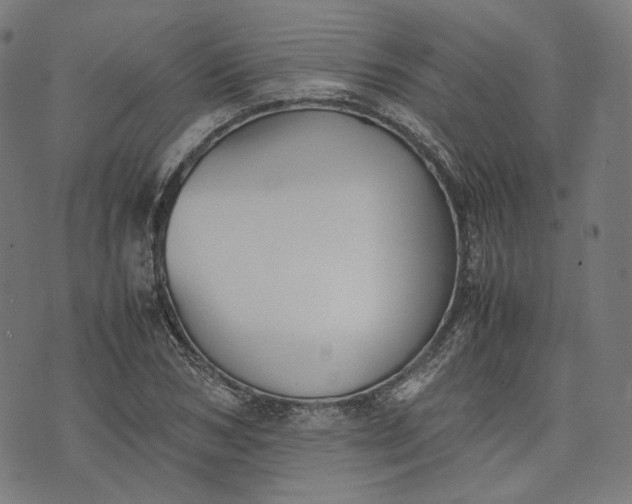 X0000074210978200609081527