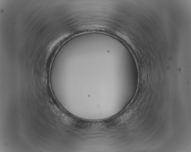 X0000074210979200609081527