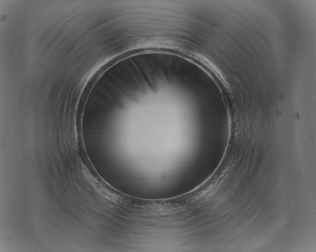 X0000074210980200609081527