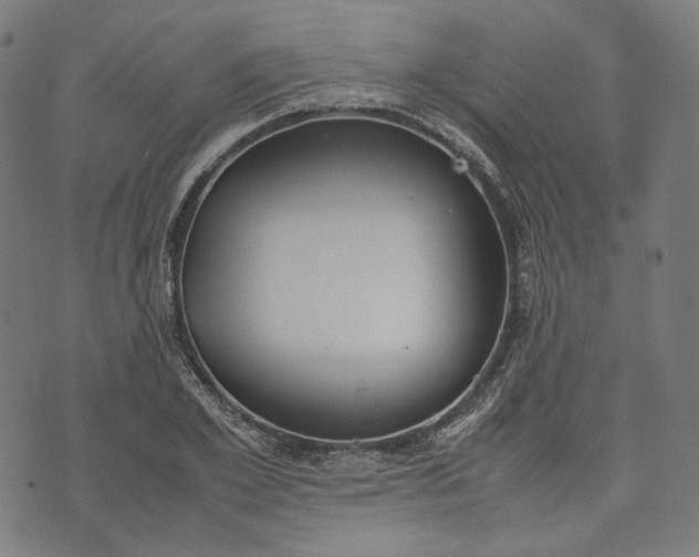 X0000074210981200609081527