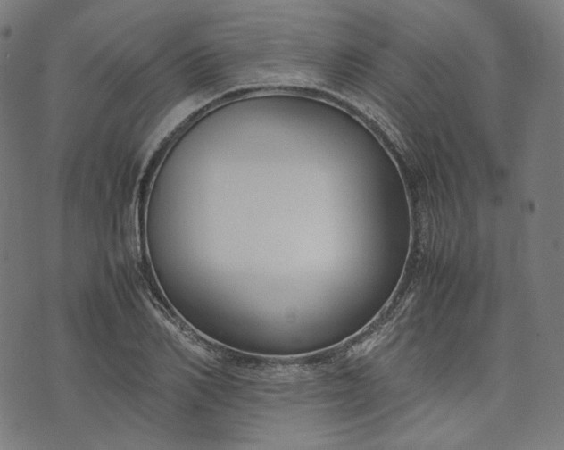 X0000074210982200609081527