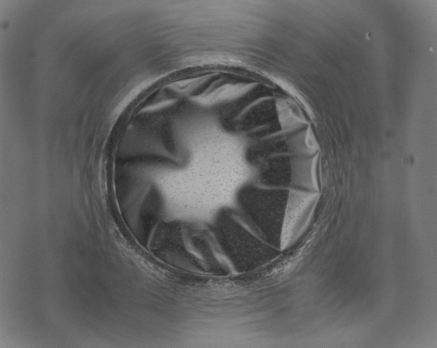 X0000074210983200609081526