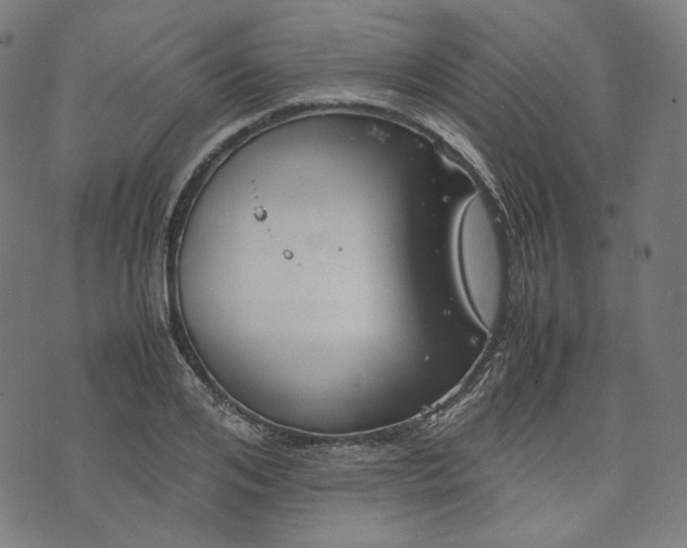 X0000074210984200609081526