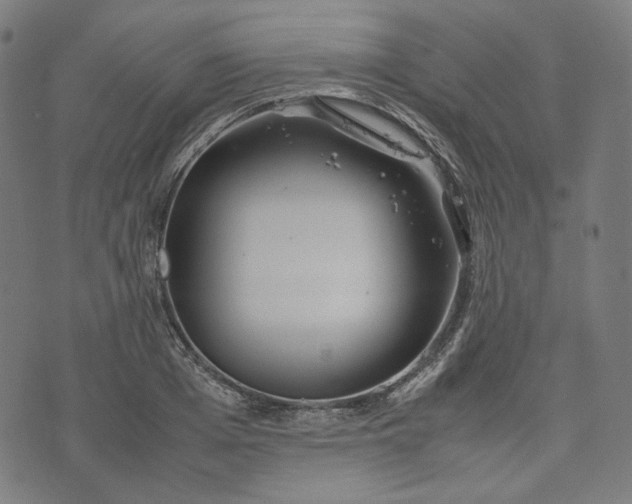 X0000074210985200609081526