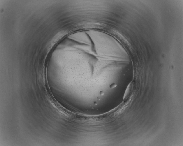 X0000074210986200609081526