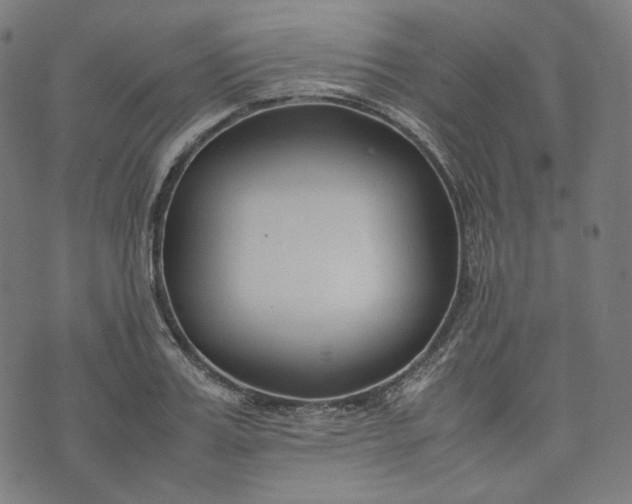 X0000074210987200609081526