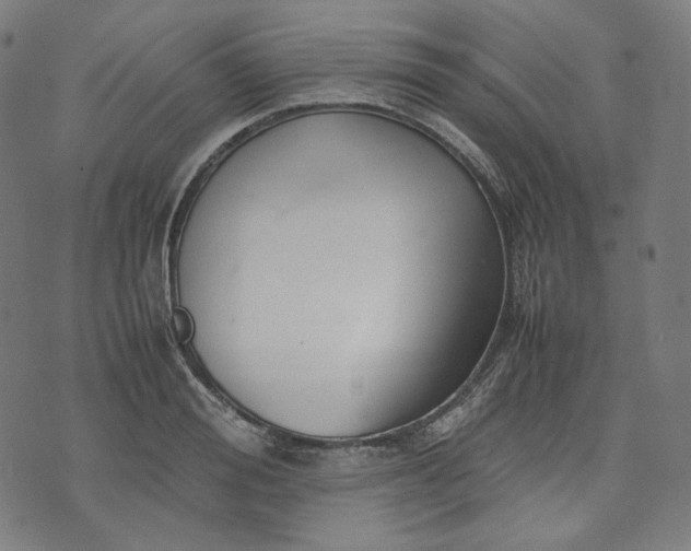 X0000074210988200609081526