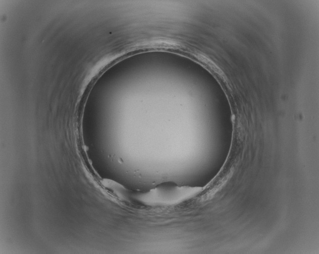 X0000074210989200609081526