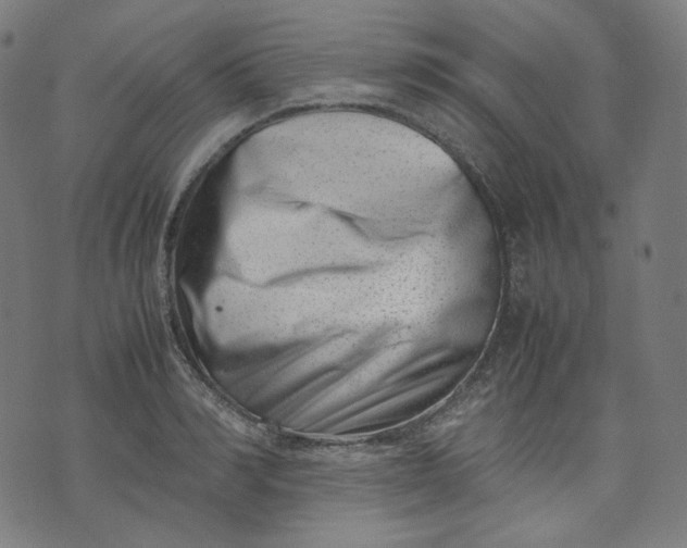 X0000074210990200609081526