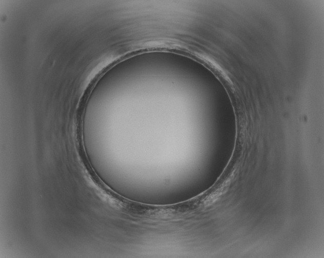 X0000074210991200609081526