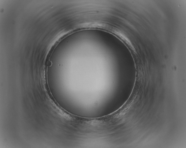 X0000074210992200609081526