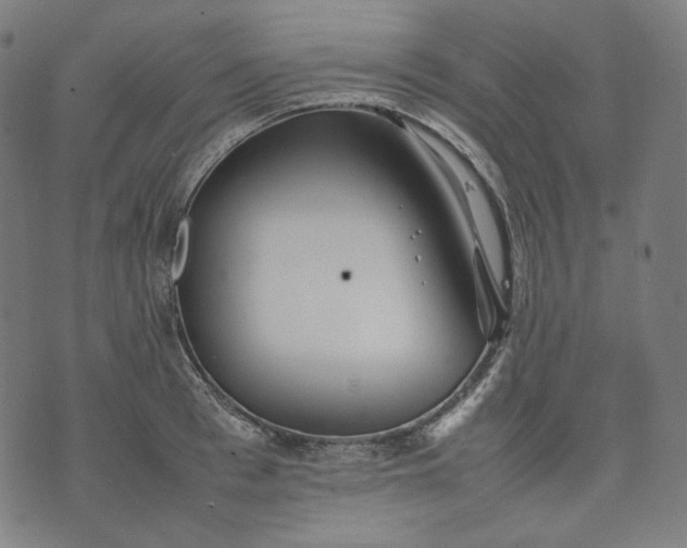 X0000074210993200609081526