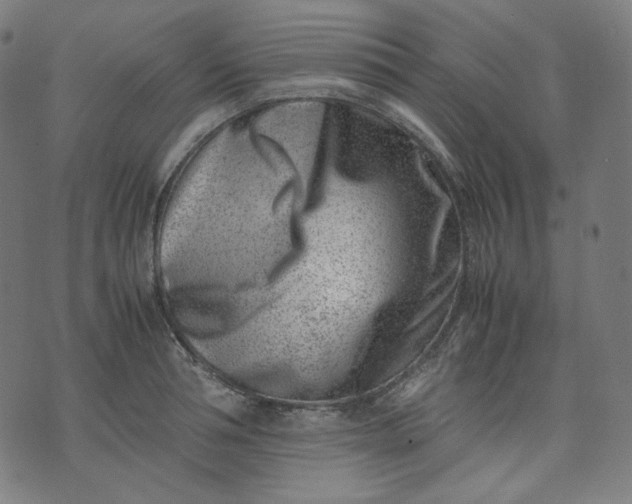 X0000074210994200609081526