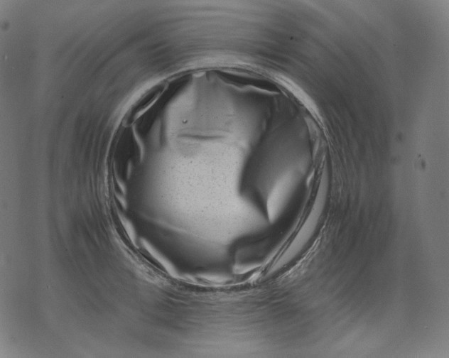 X0000074210996200609081526