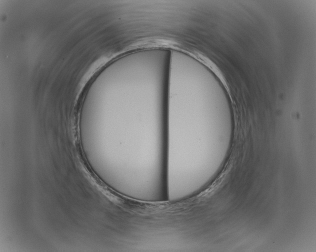 X0000074210997200609081526