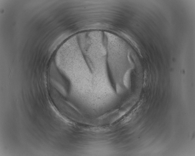 X0000074210998200609081526