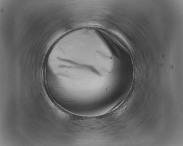 X0000074210999200609081526