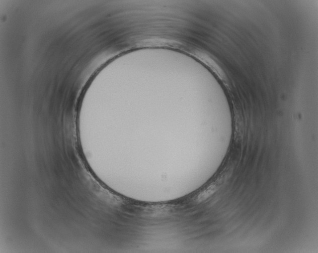 X0000074211000200609081526