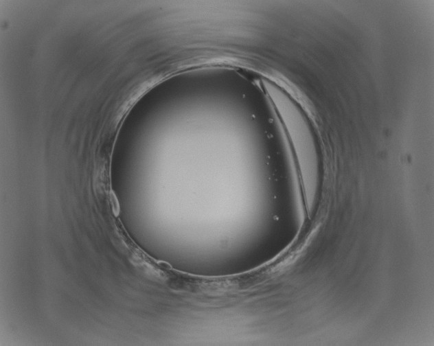 X0000074211001200609081526