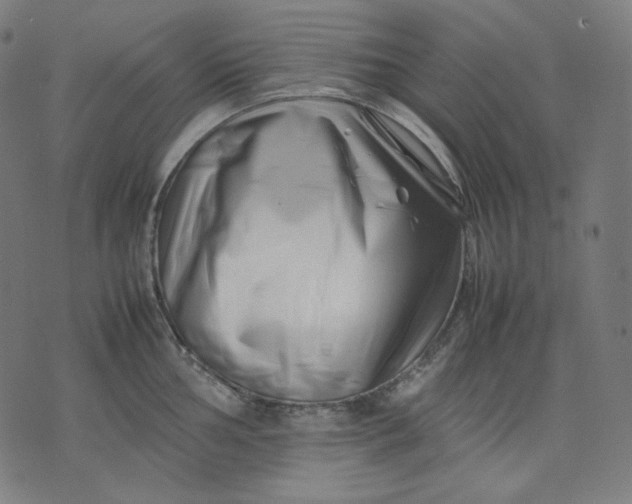 X0000074211002200609081526