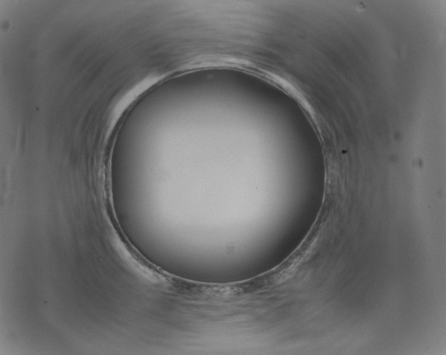 X0000074211003200609081526