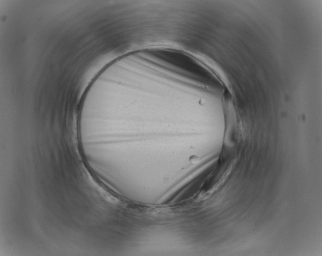 X0000074211006200609081526