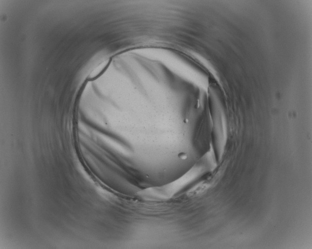 X0000074211007200609081526