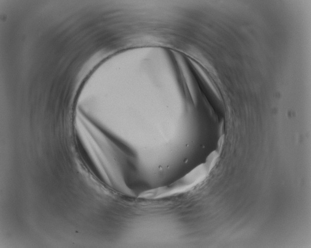 X0000074211008200609081526