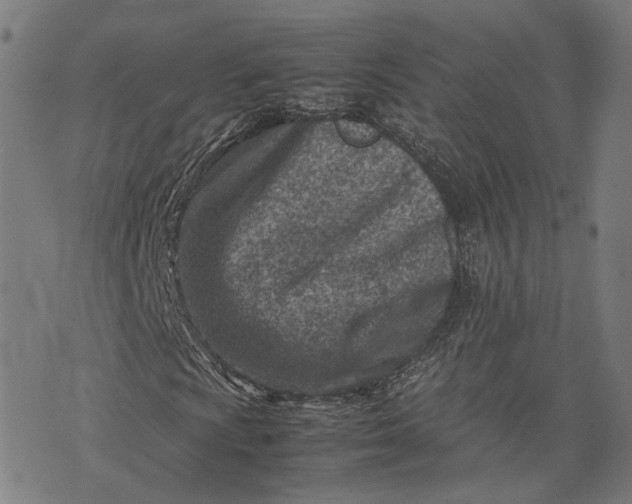 X0000074211009200609081525