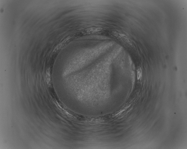 X0000074211011200609081525