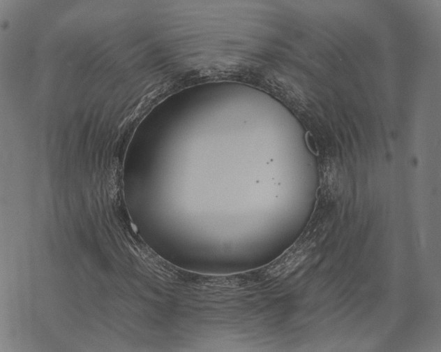 X0000074211012200609081525