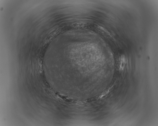 X0000074211013200609081525