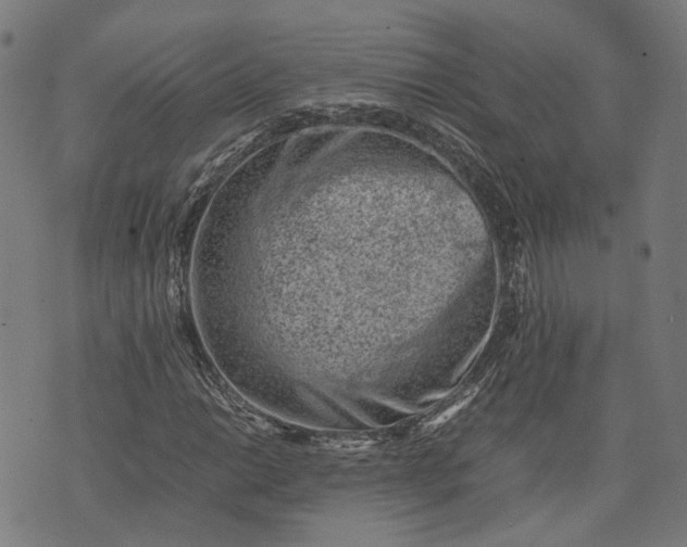 X0000074211014200609081525