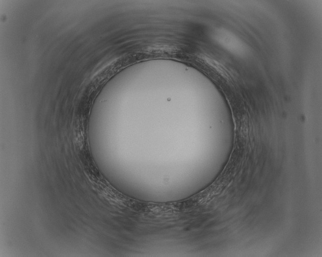 X0000074211015200609081525