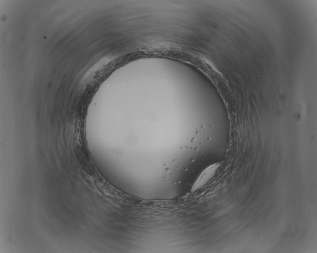 X0000074211016200609081525