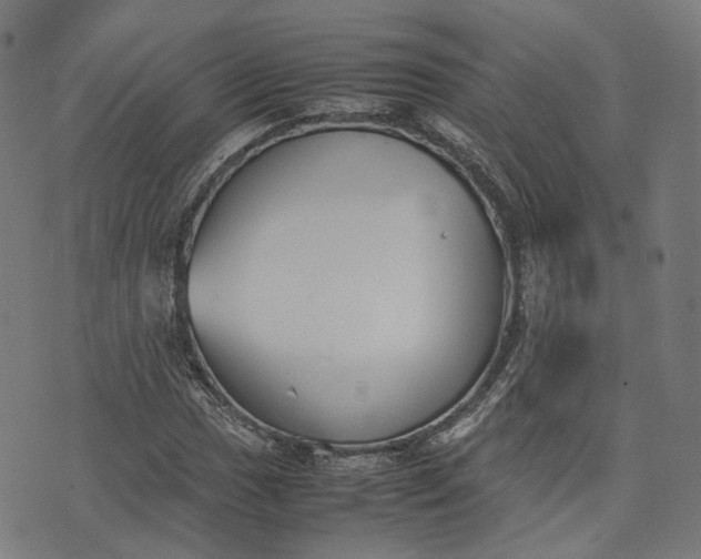 X0000074211017200609081525